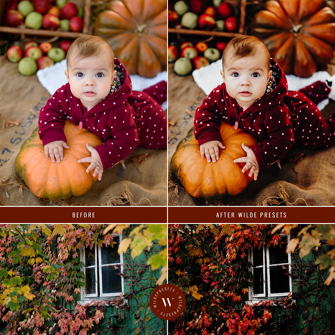 The Apple Cider Preset Collection