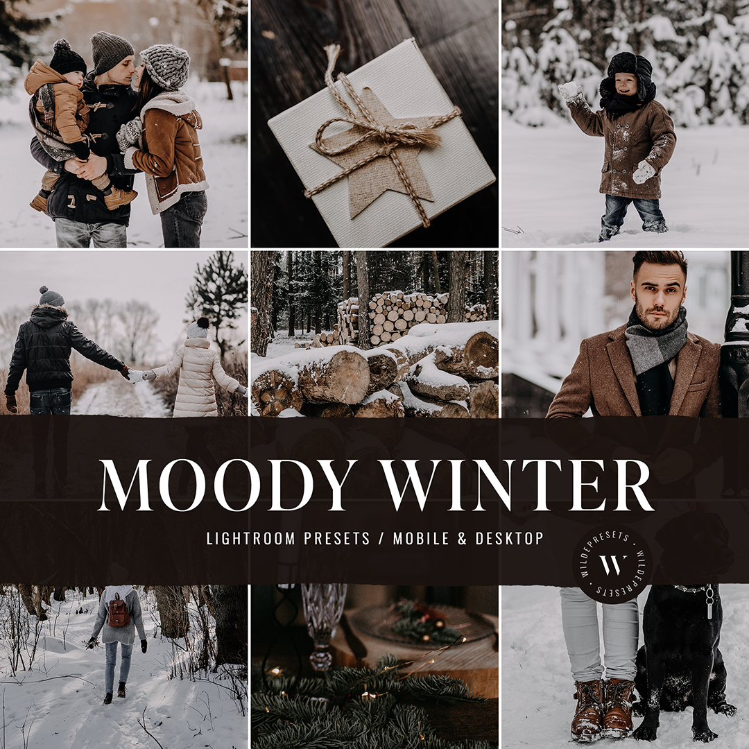 The Moody Winter Preset Collection