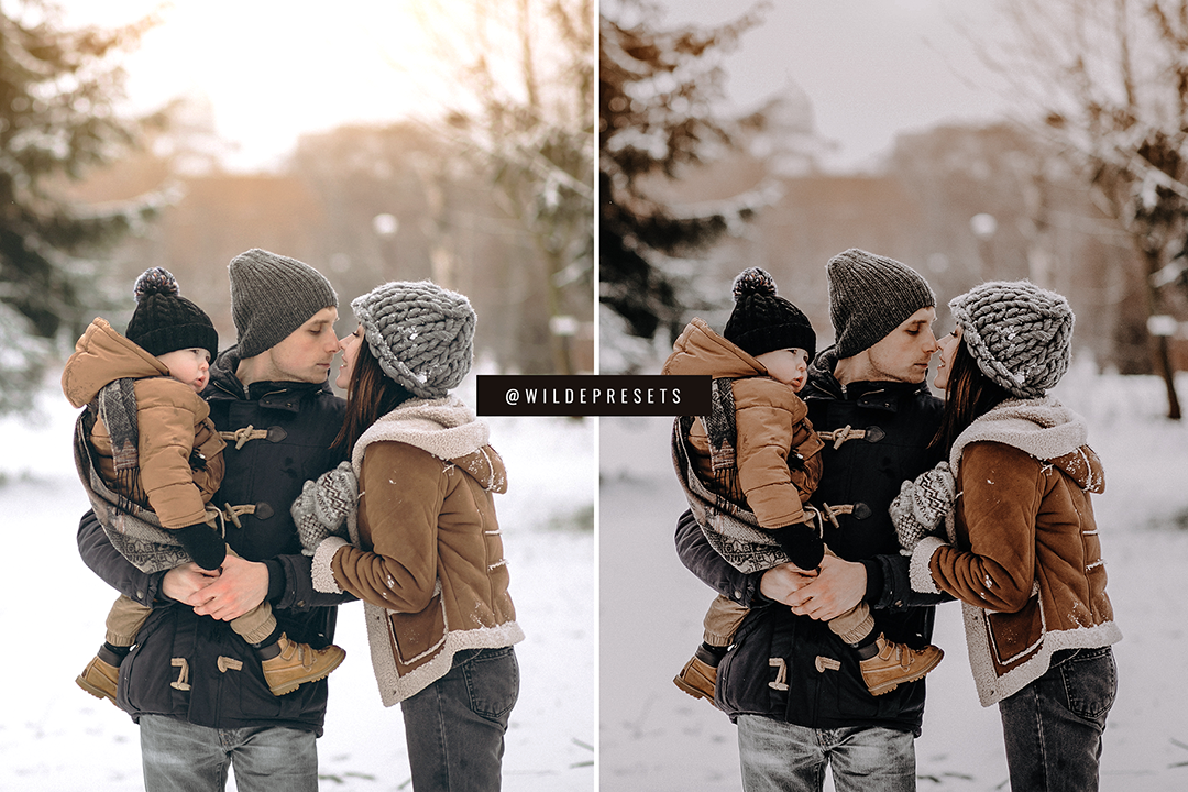 The Moody Winter Preset Collection