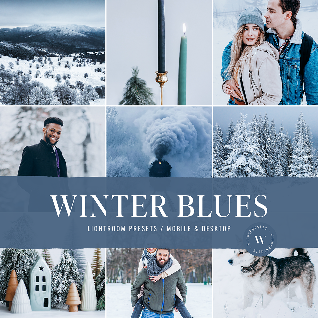 The Winter Blues Preset Collection