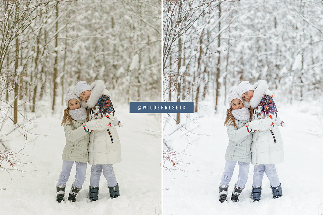 The Winter Blues Preset Collection