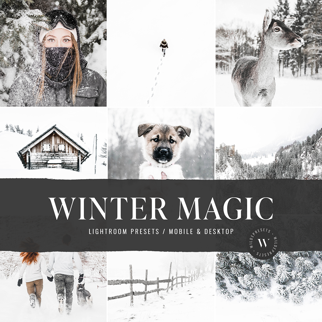 The Winter Magic Preset Collection