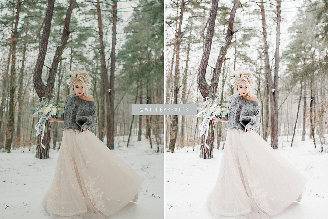 The Winter Wedding Preset Collection